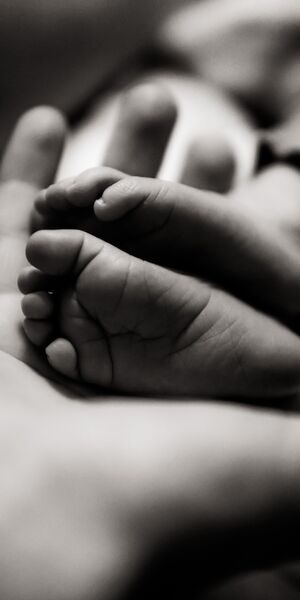 adult hands holding baby's feet